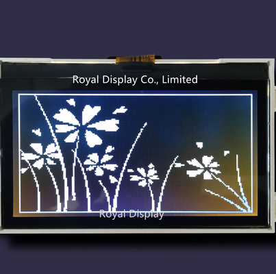 1/10 Odchylenie Graficzny wyświetlacz LCD FSTN COG 192X64 Transflective Positive