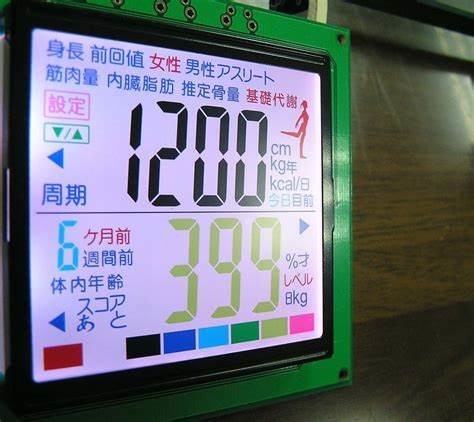 Moduł LCD FSC Dostosowalny 12H Czarny Negatywny Pole Przekazujące Kolor Sekwencyjny Winstar