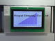 Szeroki graficzny moduł LCD do klastrów / radia samochodowego / klimatyzatora